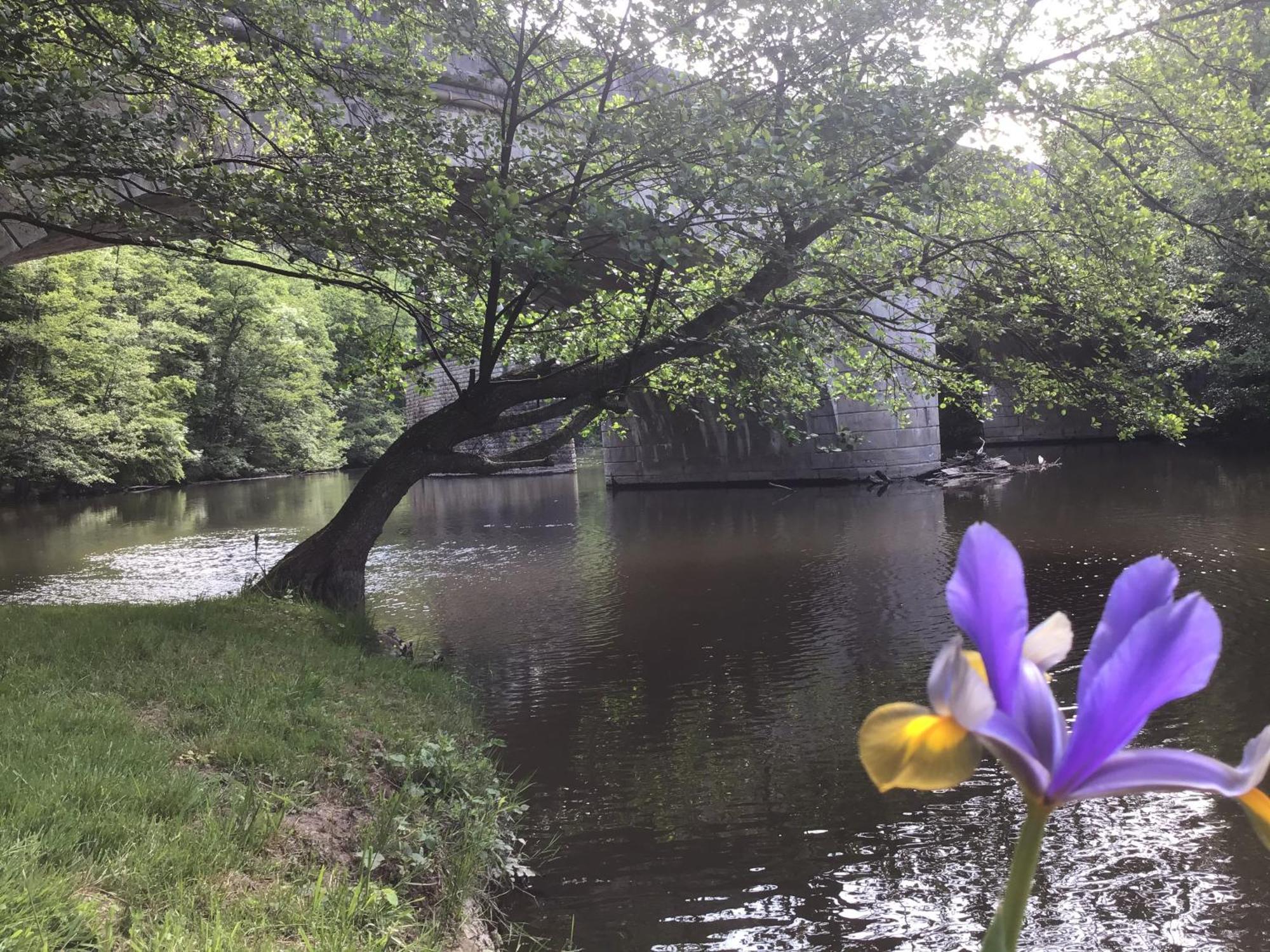 Chambre Sur Une Ile Saint-Bonnet-de-Rochefort Exteriér fotografie